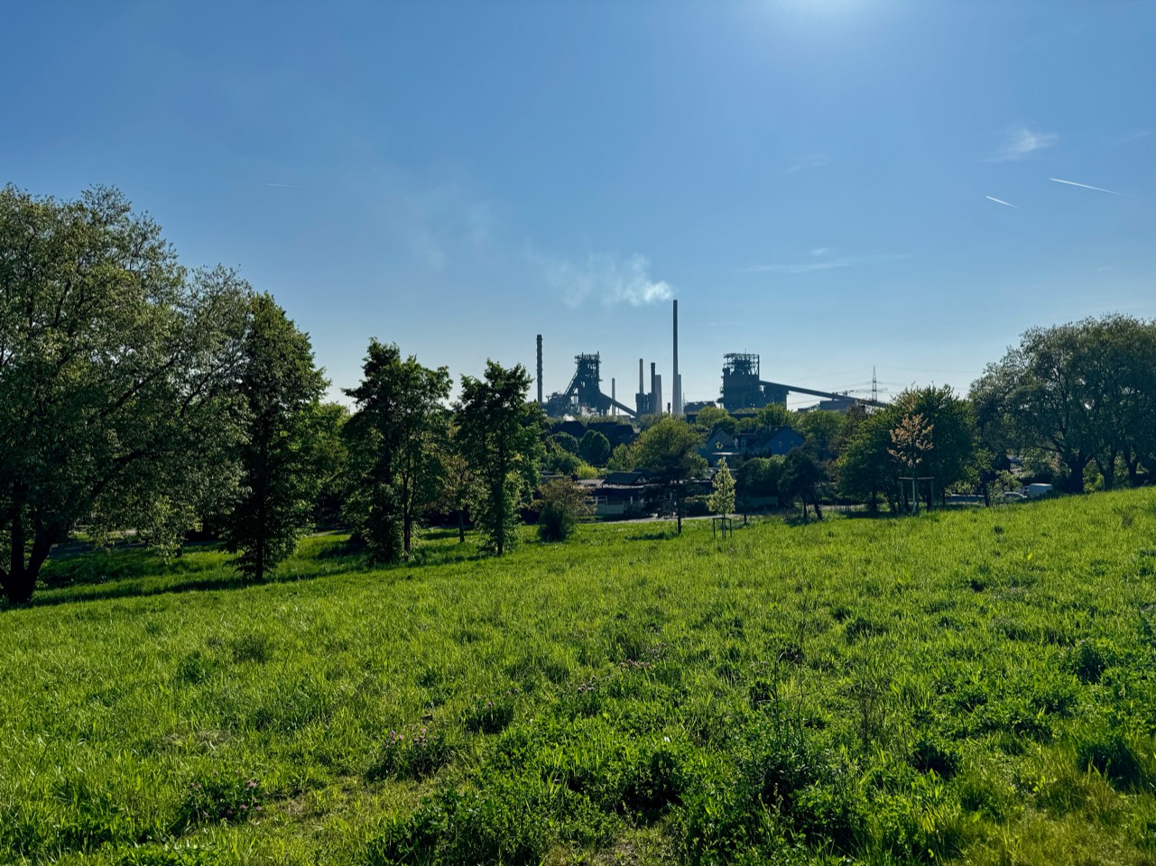 Friedrich-Park_Foto für Newsbeitrag