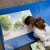 202508_Aktionstage (2)