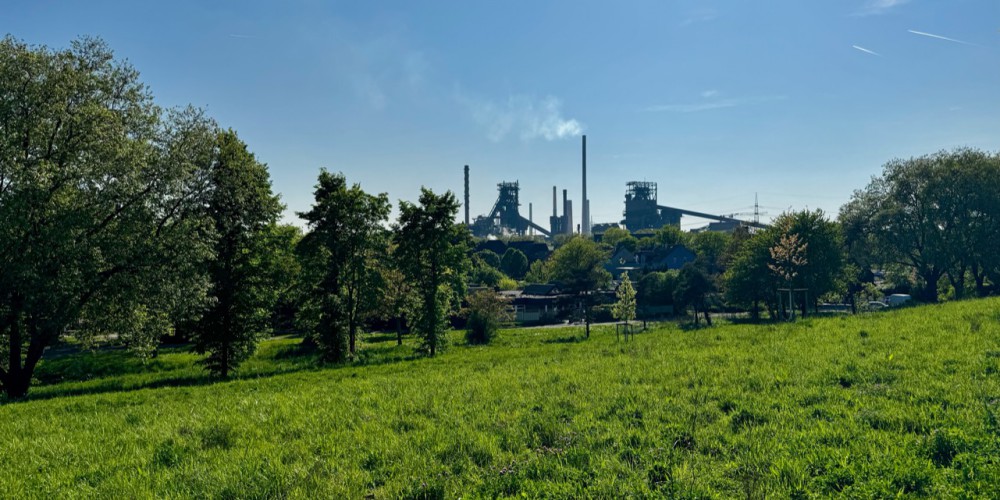 Friedrich-Park_Foto für Newsbeitrag